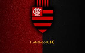 Wesley do Flamengo